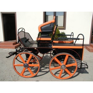 voiture attelage hippomobile marathon sport compétition