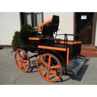 voiture attelage hippomobile marathon sport compétition
