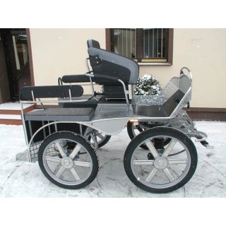 voiture attelage hippomobile marathon sport compétition