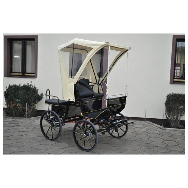 voiture hippomobile pour poney