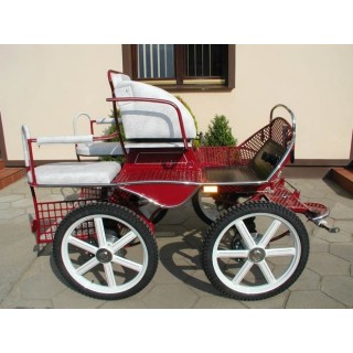 marathon loisir pour attelage poney chevaux anes