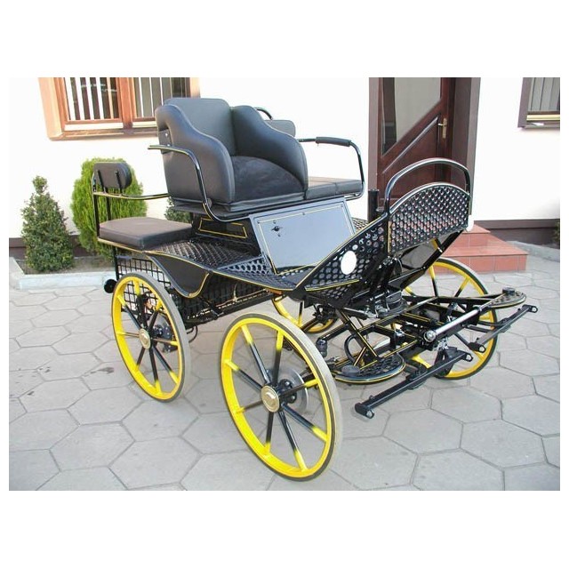 Voiture hippomobile attelage en paire