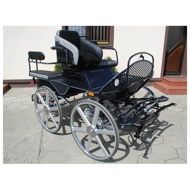 VOITURE HIPPOMOBILE DOMINIAK