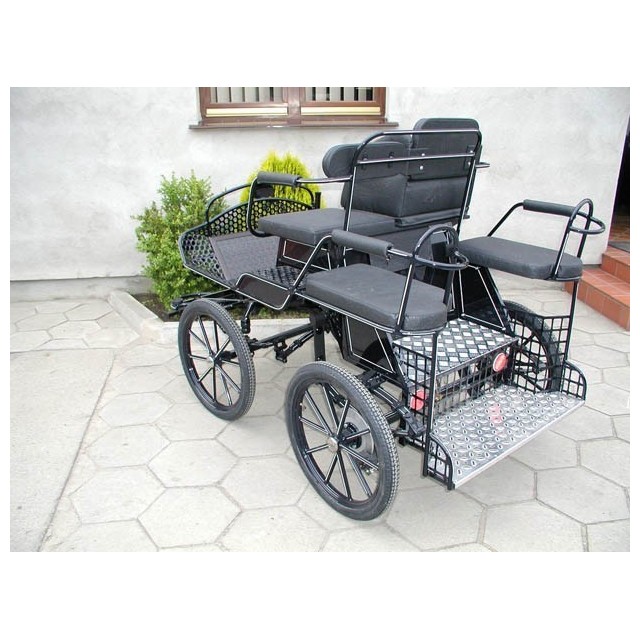 Voiture attelage de loisir poney