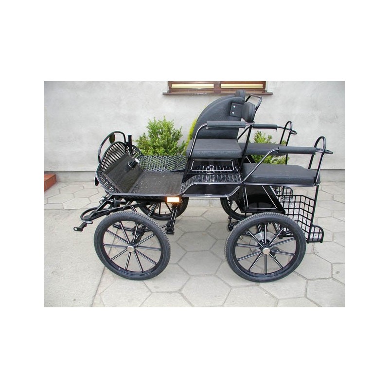 voiture-attelage-training-loisir-poneys-anes