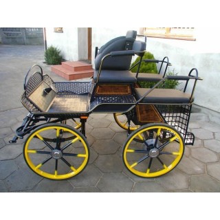 voiture-attelage-training-loisir-poneys-anes