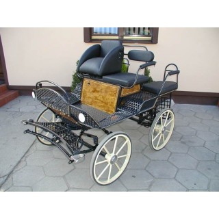 voiture-attelage-training-loisir-poneys-anes