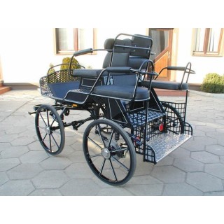 voiture-attelage-training-loisir-poneys-anes