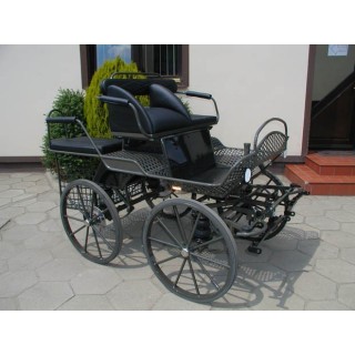 voiture-attelage-training-loisir-poneys-anes