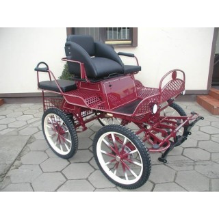 voiture-attelage-training-loisir-poneys-anes