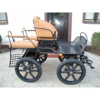 voiture-attelage-training-loisir-poneys-anes