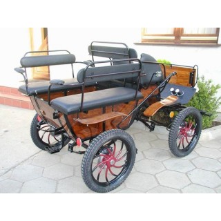 Wagonnette poney dominiak