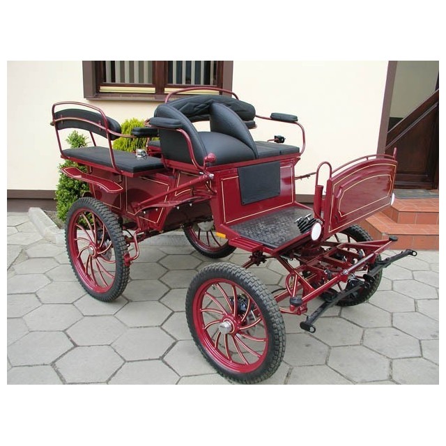 Wagonnette poneys dominiak
