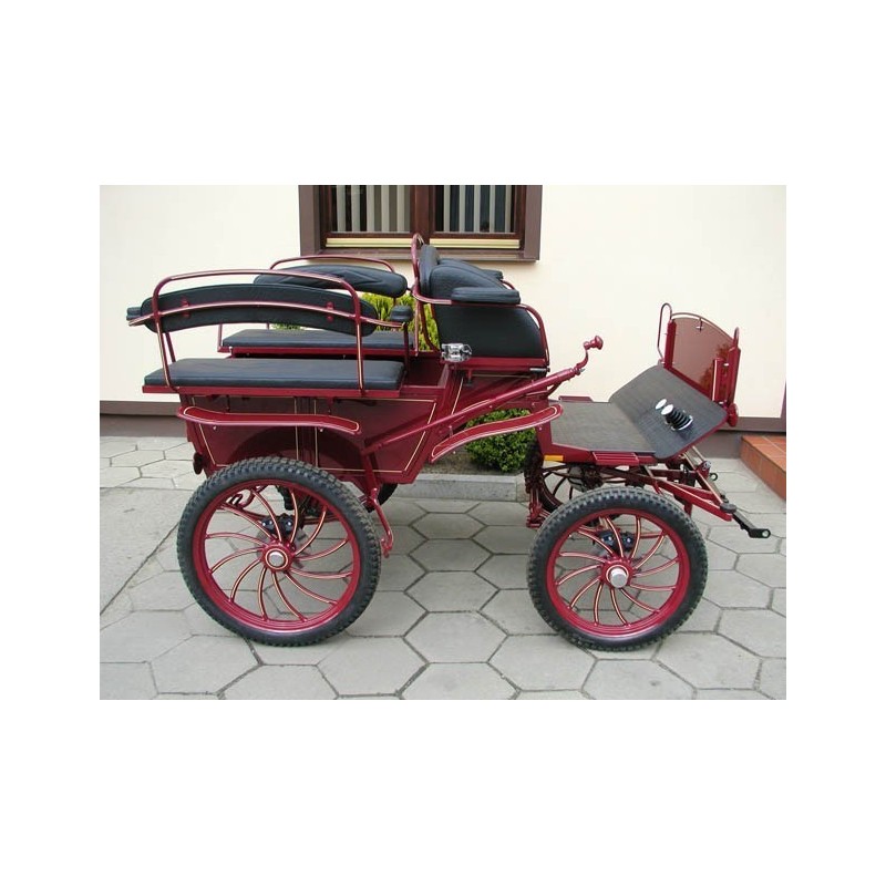 Wagonnette poneys dominiak