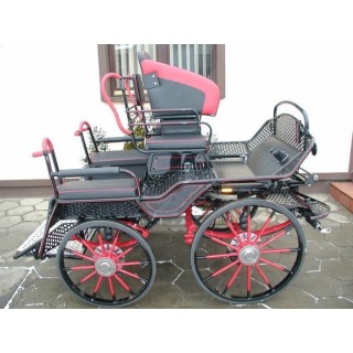 voiture marathon compétition attelage chevaux