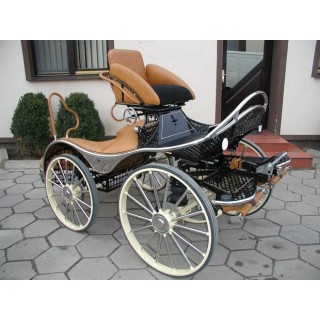 sport pferde kutchen