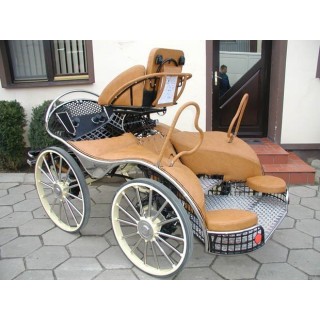 sport pferde kutchen