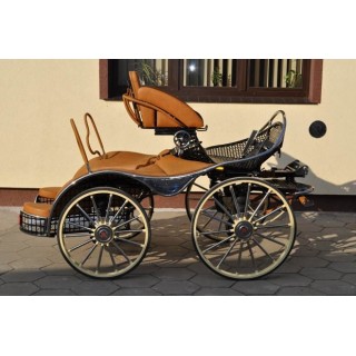 sport pferde kutchen