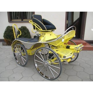 sport pferde kutchen