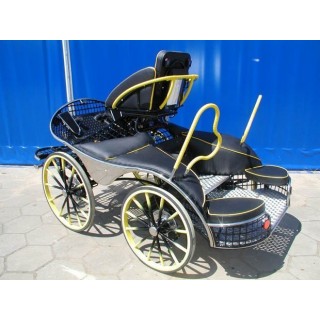 sport pferde kutchen