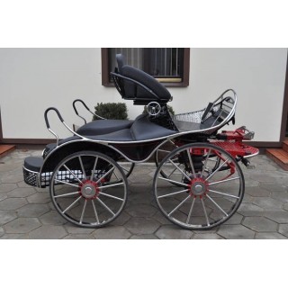 sport pferde kutchen