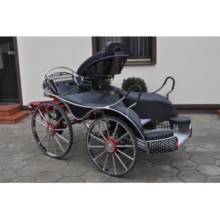 sport pferde kutchen