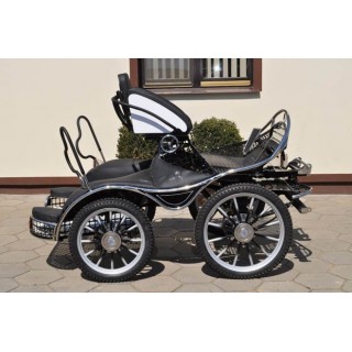 sport pferde kutchen