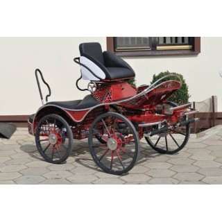 sport pferde kutchen
