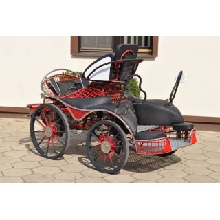sport pferde kutchen