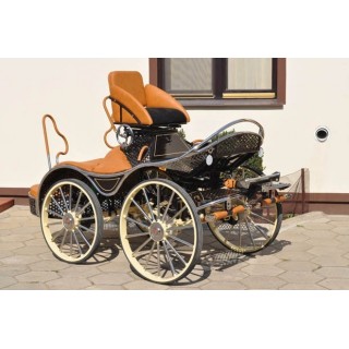 sport pferde kutchen