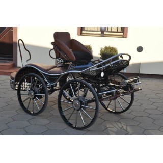 sport pferde kutchen