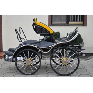 sport pferde kutchen