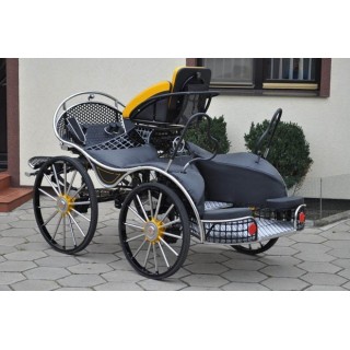 sport pferde kutchen