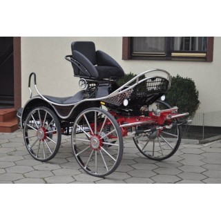 sport pferde kutchen