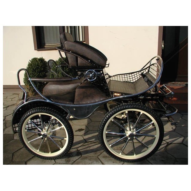 Voiture hippomobile marathon