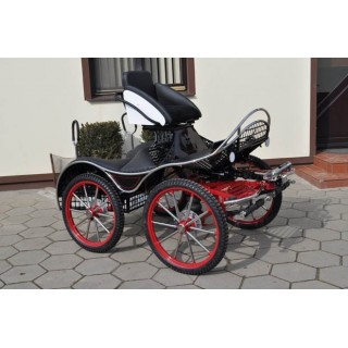 marathon attelage hippomobile pour chevaux