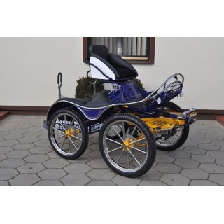 marathon attelage hippomobile pour chevaux