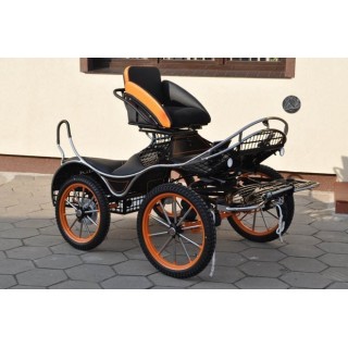 marathon attelage hippomobile pour chevaux