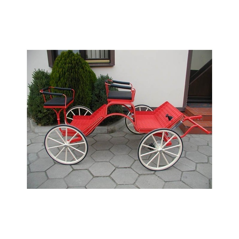 voiture attelage loisir marathon  poney  anes