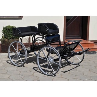 voiture attelage loisir marathon  poney  anes