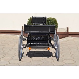 voiture attelage loisir marathon  poney  anes