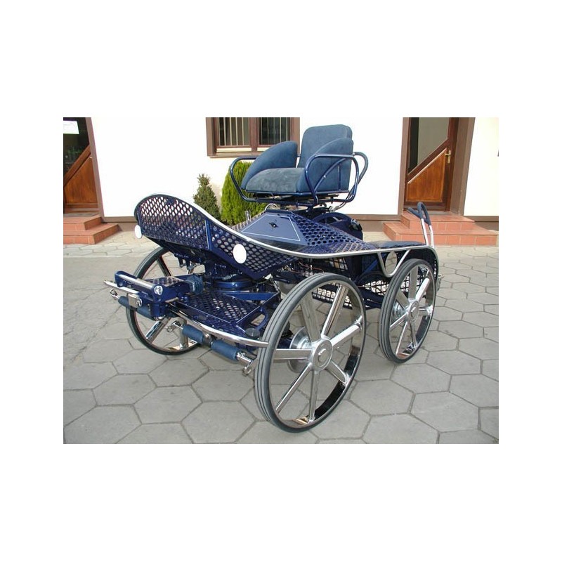 voiture attelage chevaux marathon hippomobile