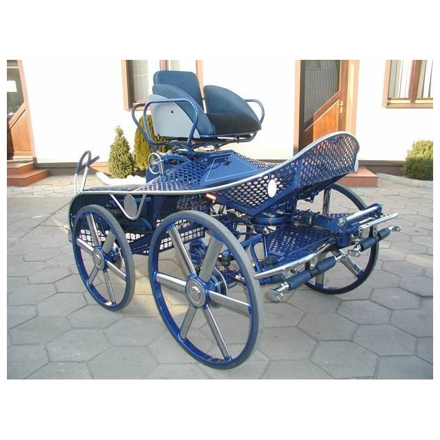 Voiture hippomobile marathon