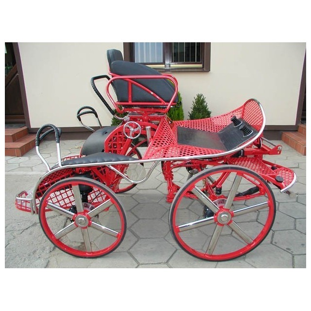 Marathon sport Dominiak