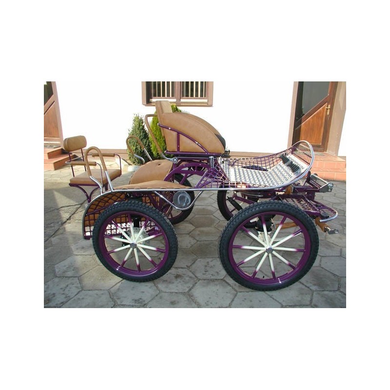 Voiture Dominiak marathon