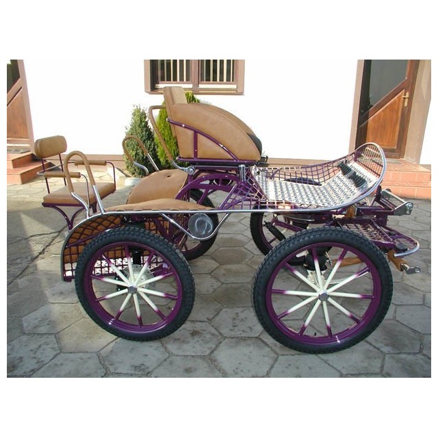 Voiture Dominiak marathon