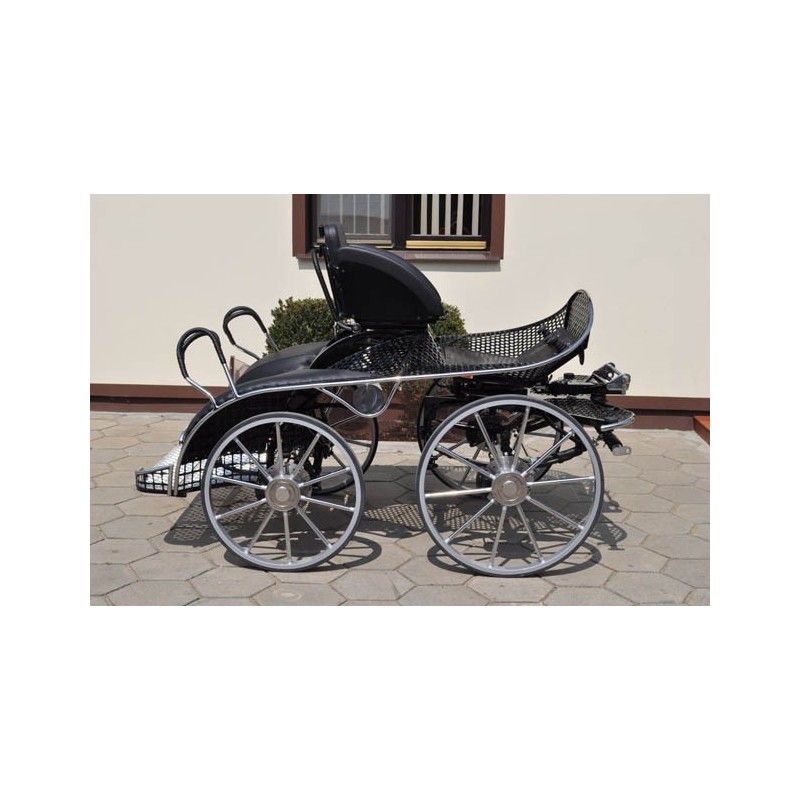 voiture marathon sport pour chevaux