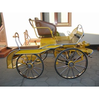 voiture marathon compétition attelage chevaux