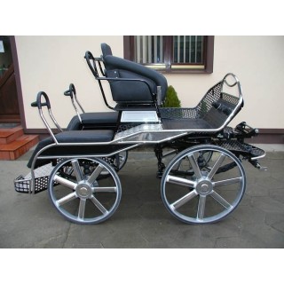 voiture marathon compétition attelage chevaux