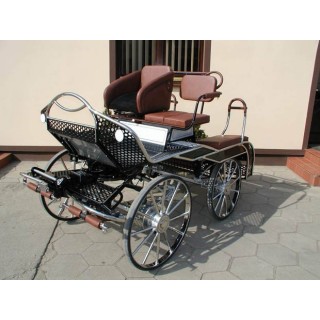 voiture marathon compétition attelage chevaux